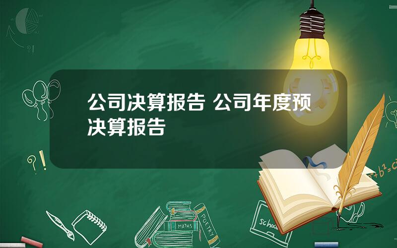 公司决算报告 公司年度预决算报告